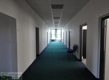 Pronájem kanceláře, 13 m²