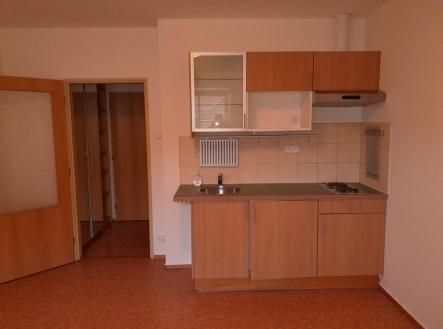 Pronájem bytu, 1+kk, 23 m²