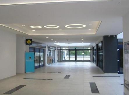 Pronájem kanceláře, 30 m²