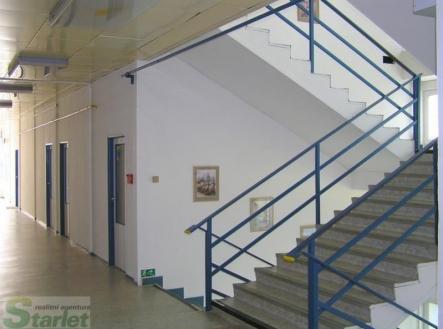 Pronájem kanceláře, 14 m²