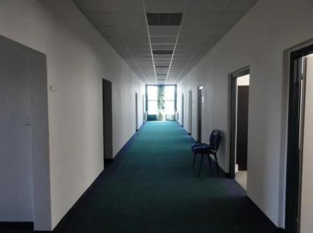 Pronájem kanceláře, 40 m²