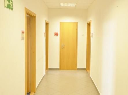 Pronájem kanceláře, 17 m²