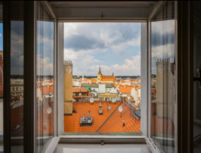 Fotku se nepodařilo načíst.