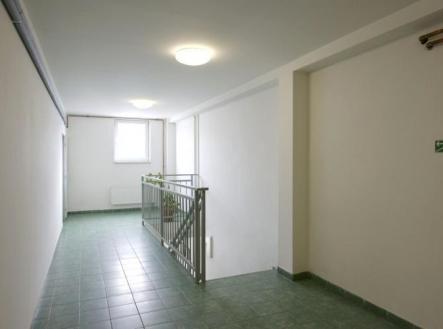 Pronájem kanceláře, 206 m²