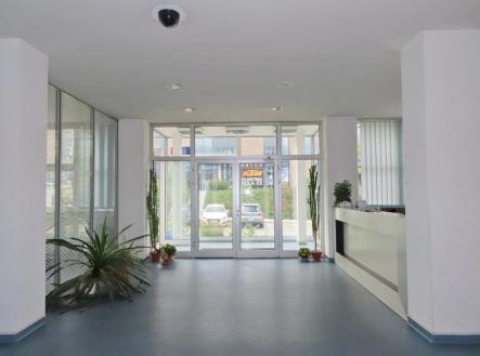 Pronájem kanceláře, 22 m²