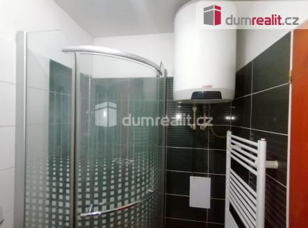 Pronájem bytu, 3+kk, 50 m²