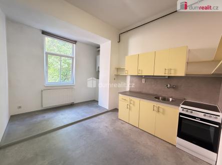 Pronájem bytu, 1+1, 45 m² obrázek