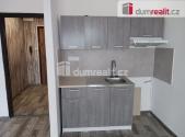 Pronájem bytu, 1+kk, 29 m²