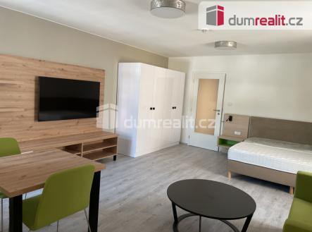 Pronájem bytu, 1+kk, 49 m²