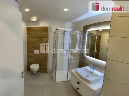 Pronájem bytu, 1+kk, 49 m²