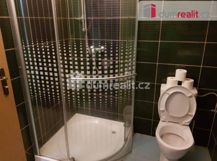 Pronájem bytu, 1+kk, 20 m²