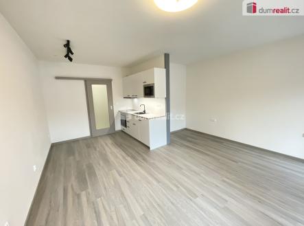 Pronájem bytu, 1+kk, 41 m²