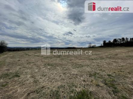 Prodej - pozemek, trvalý travní porost, 5 593 m²