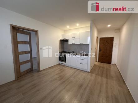 Pronájem bytu, 1+1, 36 m²