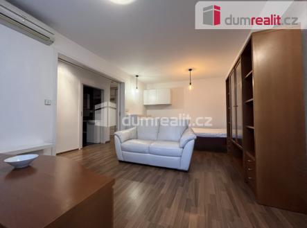 Pronájem bytu, 1+1, 41 m²