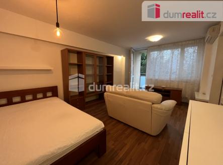 Pronájem bytu, 1+1, 41 m²