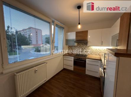 Pronájem bytu, 1+1, 41 m²