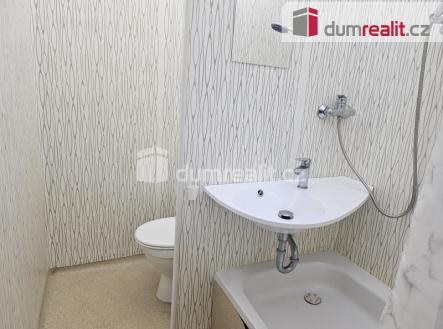 Pronájem bytu, 1+kk, 22 m²