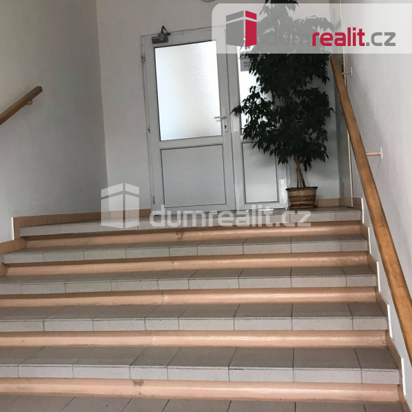 Fotku se nepodařilo načíst.