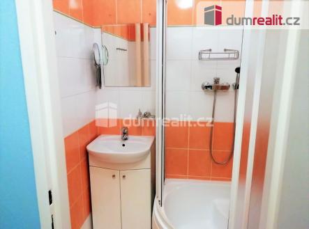 Pronájem bytu, 1+1, 38 m²