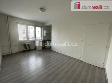 Prodej bytu, 1+kk, 20 m²