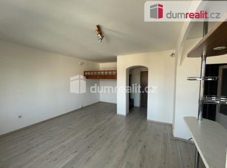 Pronájem bytu, 1+kk, 41 m²