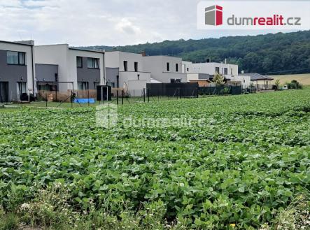 Prodej - pozemek, trvalý travní porost, 3 000 m²