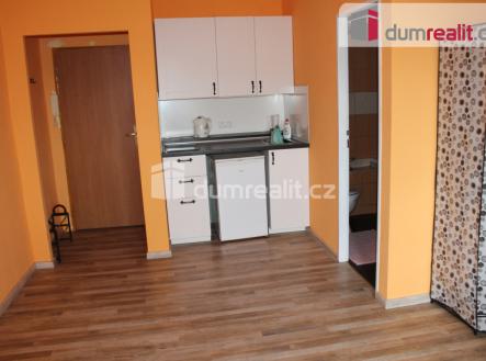 Prodej bytu, 1+kk, 25 m²