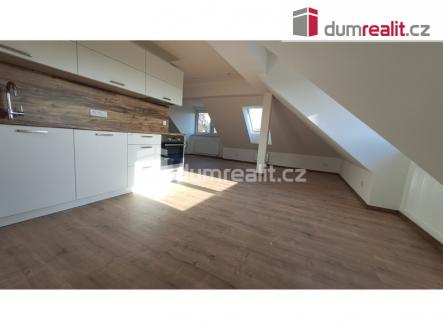 Pronájem bytu, 1+kk, 74 m²