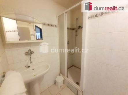 Pronájem bytu, atypický, 18 m²