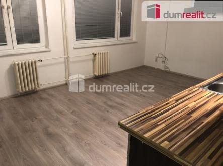 Pronájem bytu, 1+kk, 33 m²