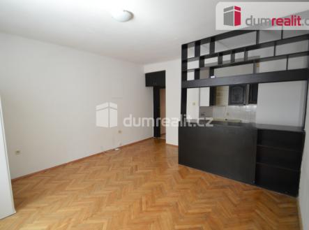 Pronájem bytu, 1+kk, 28 m²