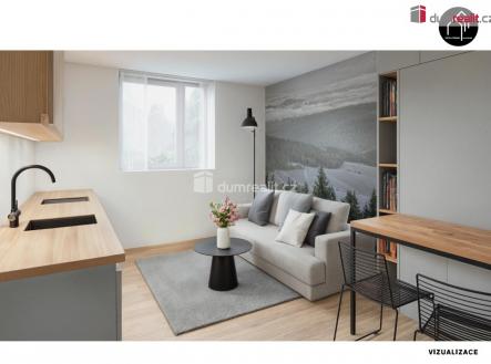 Prodej bytu, 1+kk, 25 m²