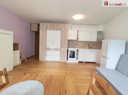 Pronájem bytu, 1+kk, 41 m²