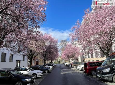 Pronájem bytu, 2+kk, 51 m²