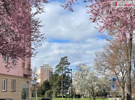 Pronájem bytu, 2+kk, 51 m²