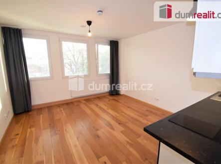 Pronájem bytu, 1+kk, 27 m²