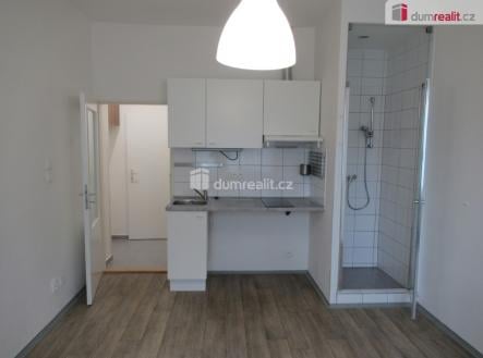 Pronájem bytu, 1+kk, 19 m² obrázek