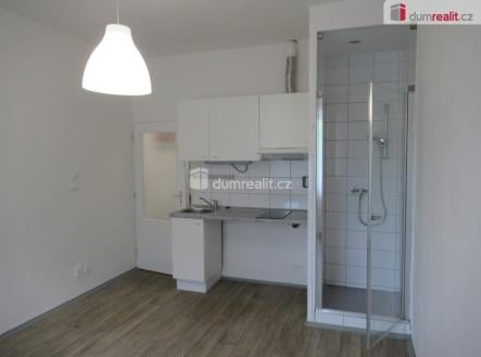 Pronájem bytu, 1+kk, 19 m²