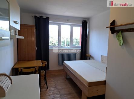 Pronájem bytu, 1+kk, 15 m²