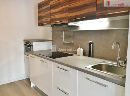 Pronájem bytu, 1+1, 46 m²