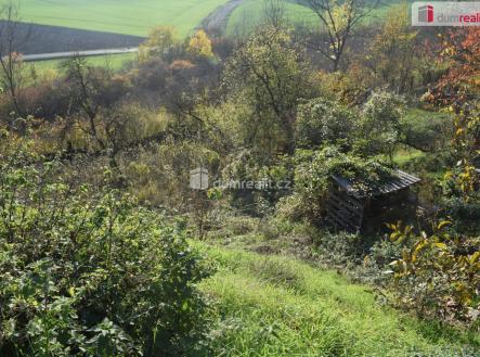 Prodej - pozemek, zahrada, 973 m²