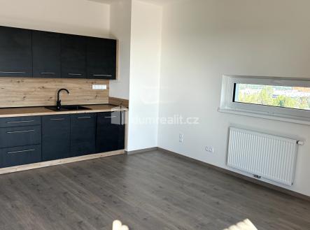 Pronájem bytu, 2+kk, 56 m²