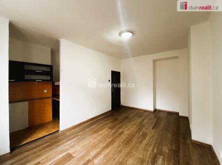 Pronájem bytu, 1+kk, 24 m²