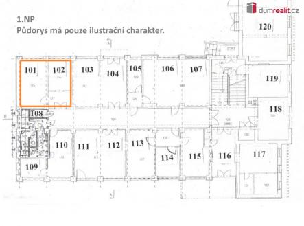 Pronájem - kanceláře, 30 m²