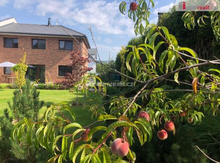 Prodej domu/vily, 200 m²