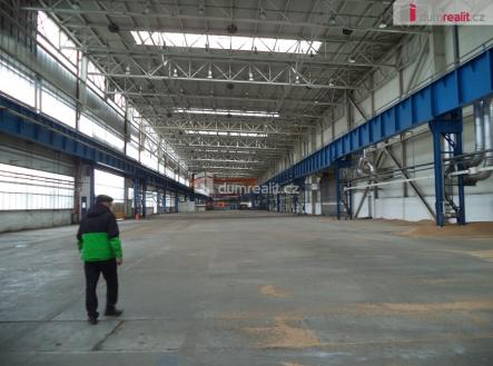 Pronájem výrobní prostor, 3 500 m²