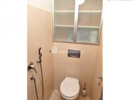 Pronájem bytu, 4+kk, 84 m²