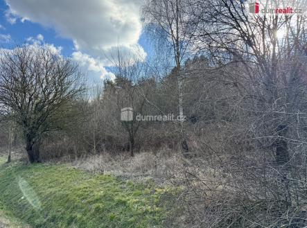 Prodej - pozemek, trvalý travní porost, 21 142 m²