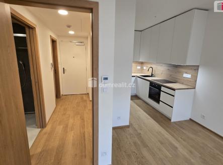 Pronájem bytu, 2+kk, 52 m²